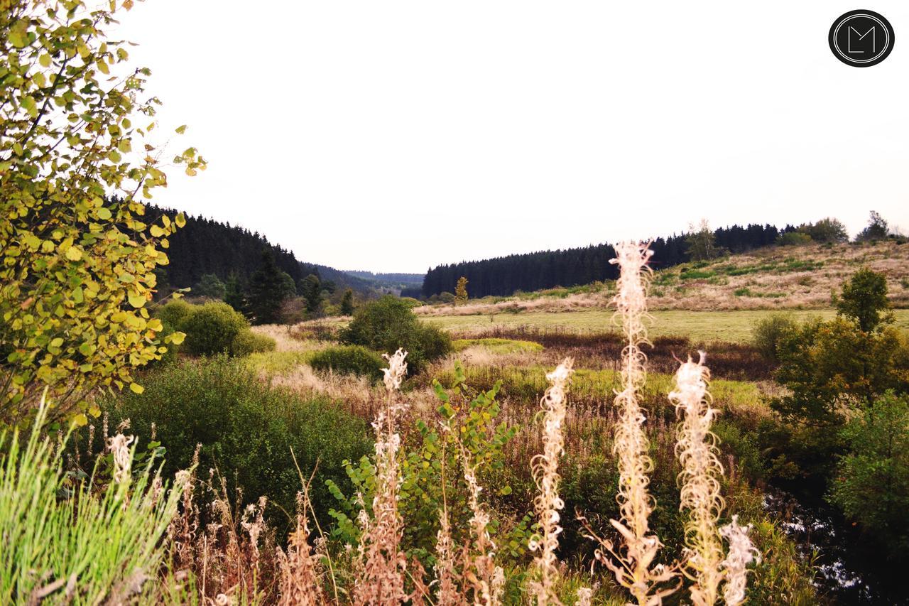 Chalet Le Forestier 불랑쥬 외부 사진