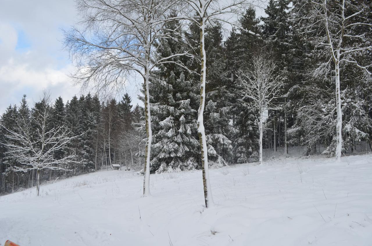 Chalet Le Forestier 불랑쥬 외부 사진