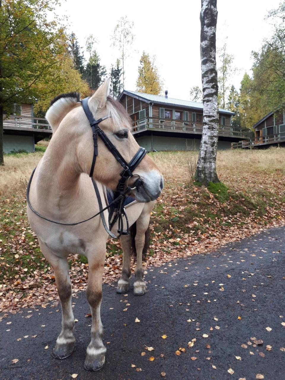 Chalet Le Forestier 불랑쥬 외부 사진